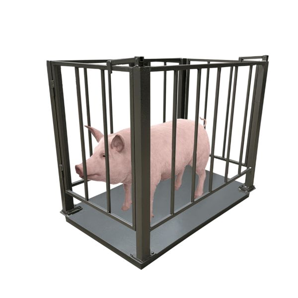 Ваги для свиней до 500 кг ВПД-СК-1200750 Днепровеc